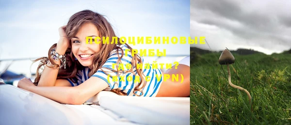 гидра Березники