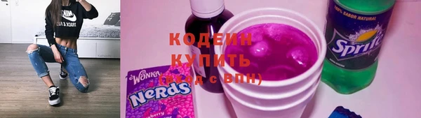ешки Домодедово