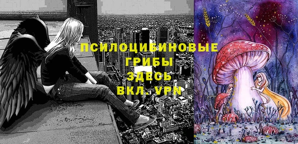 гидра Березники