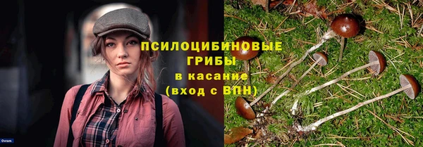 гидра Березники