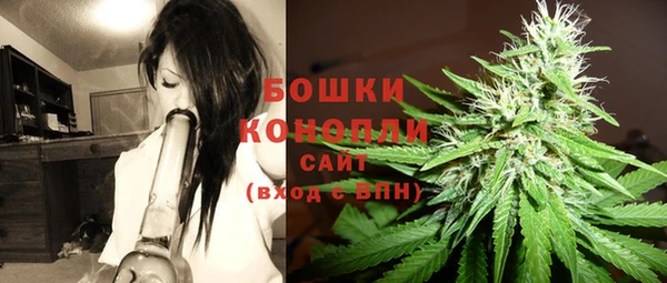 ешки Домодедово