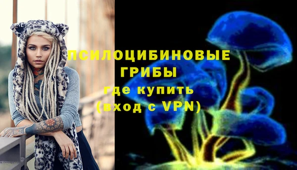 гидра Березники