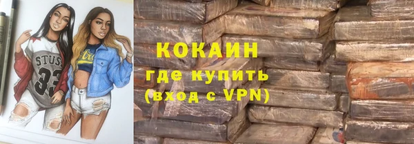 ешки Домодедово