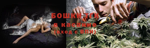 гидра Березники