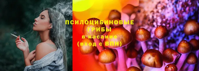 Галлюциногенные грибы Magic Shrooms  закладки  KRAKEN ссылки  Исилькуль 