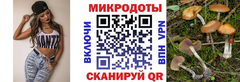 Галлюциногенные грибы MAGIC MUSHROOMS  как найти   Исилькуль 